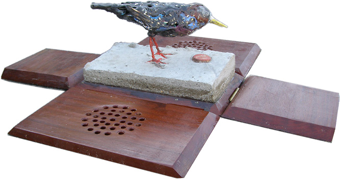 Starling in transport crate